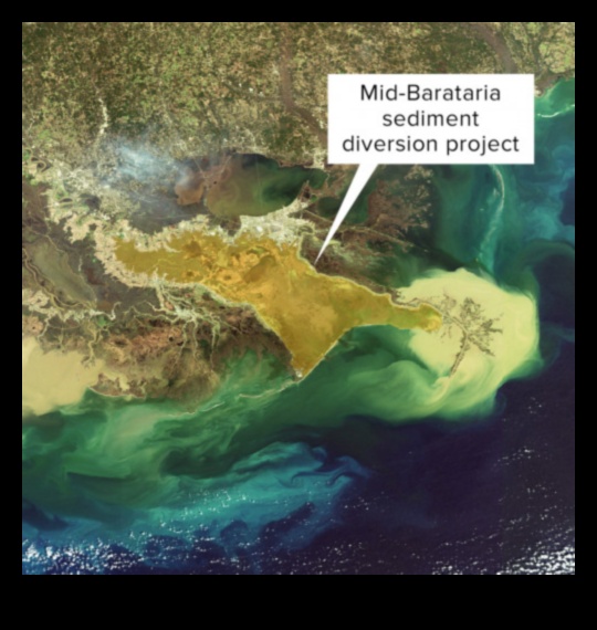 Kāpēc upju deltas ir svarīgas ūdens ainavu sastāvdaļas?