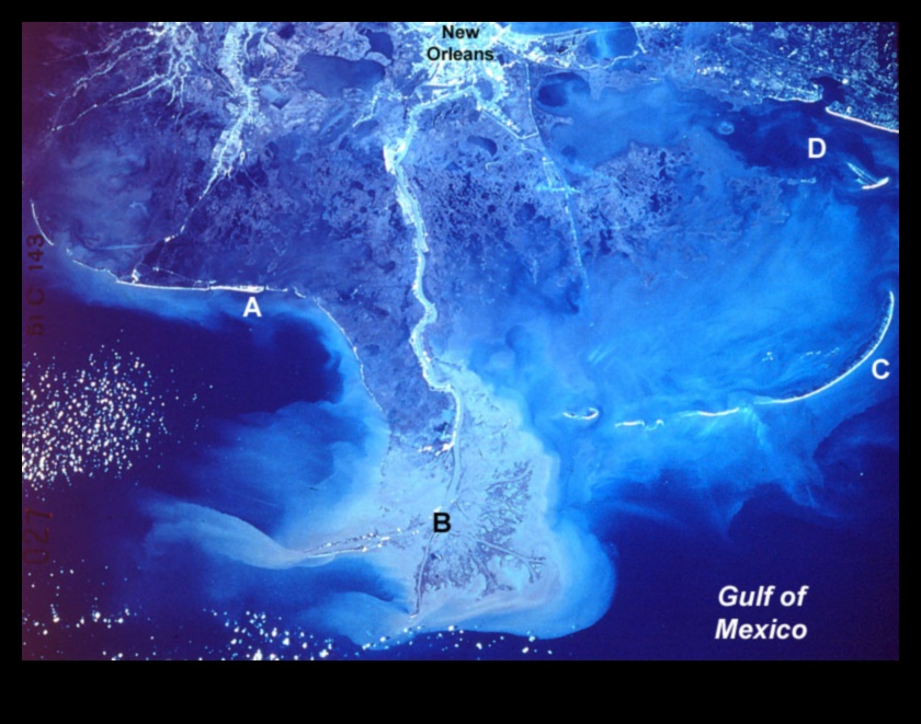 Kāpēc upju deltas ir svarīgas ūdens ainavu sastāvdaļas?