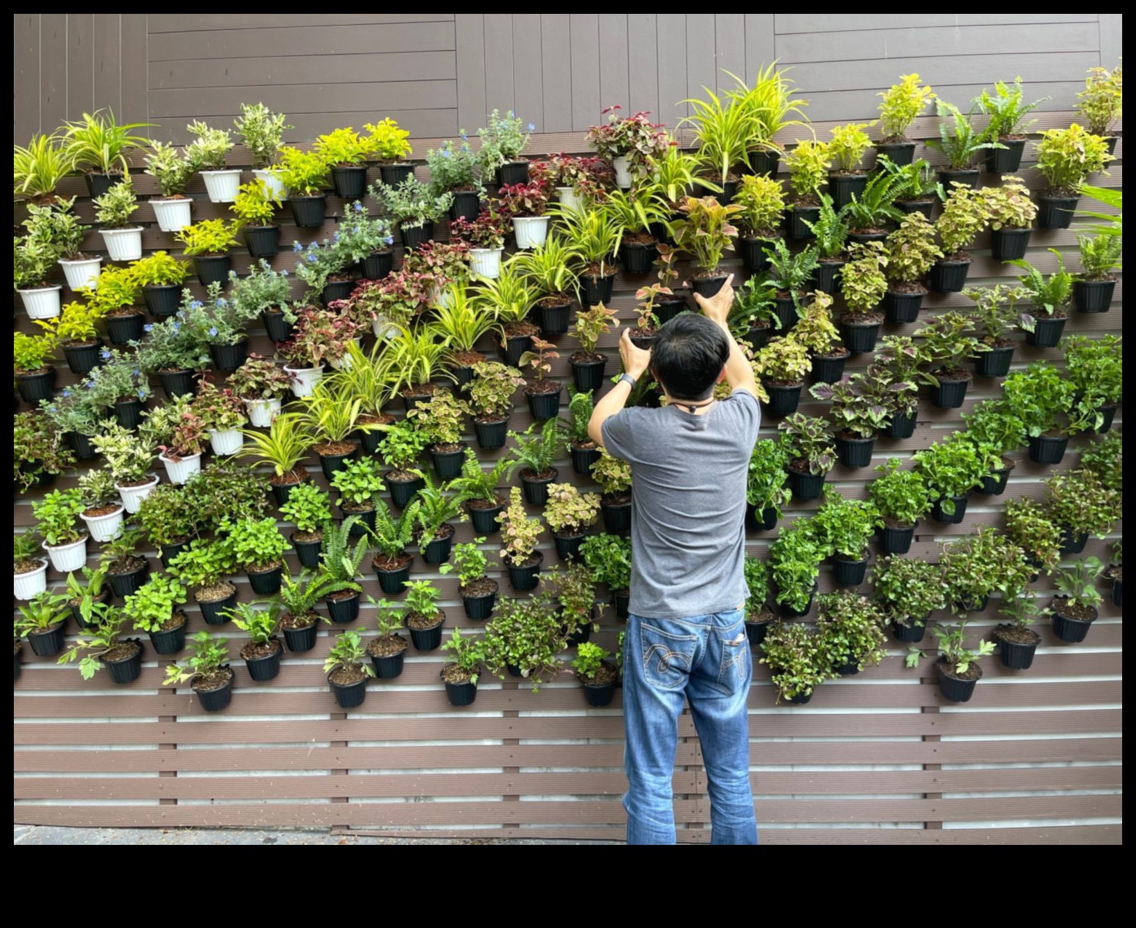 Apstādījumu veidošana ar savām rokām plaukstošam dārzam 3 Apstādījumu veidošana: DIY piedzīvojumi plaukstošam dārzam