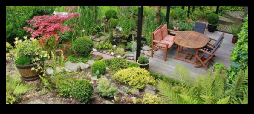 Ziedu meistarība: profesionāļu padomi satriecošai dārza oāzei