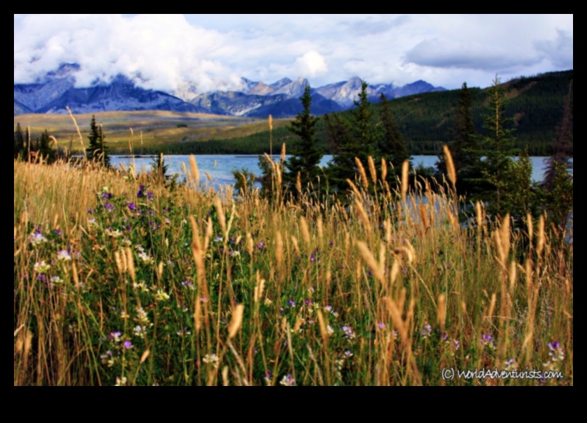 Dabas sirdī: elpu aizraujoši ainavu attēli