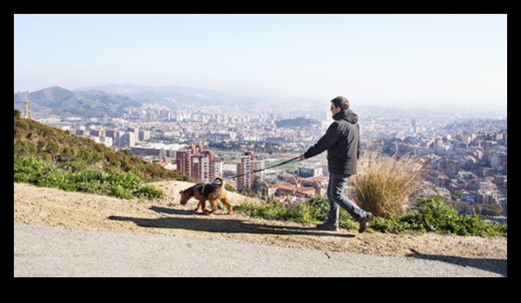 Čukstošās priedes: Meža ainavu burvība