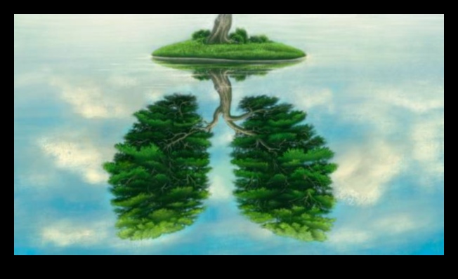 Čukstošās priedes: Meža ainavu burvība