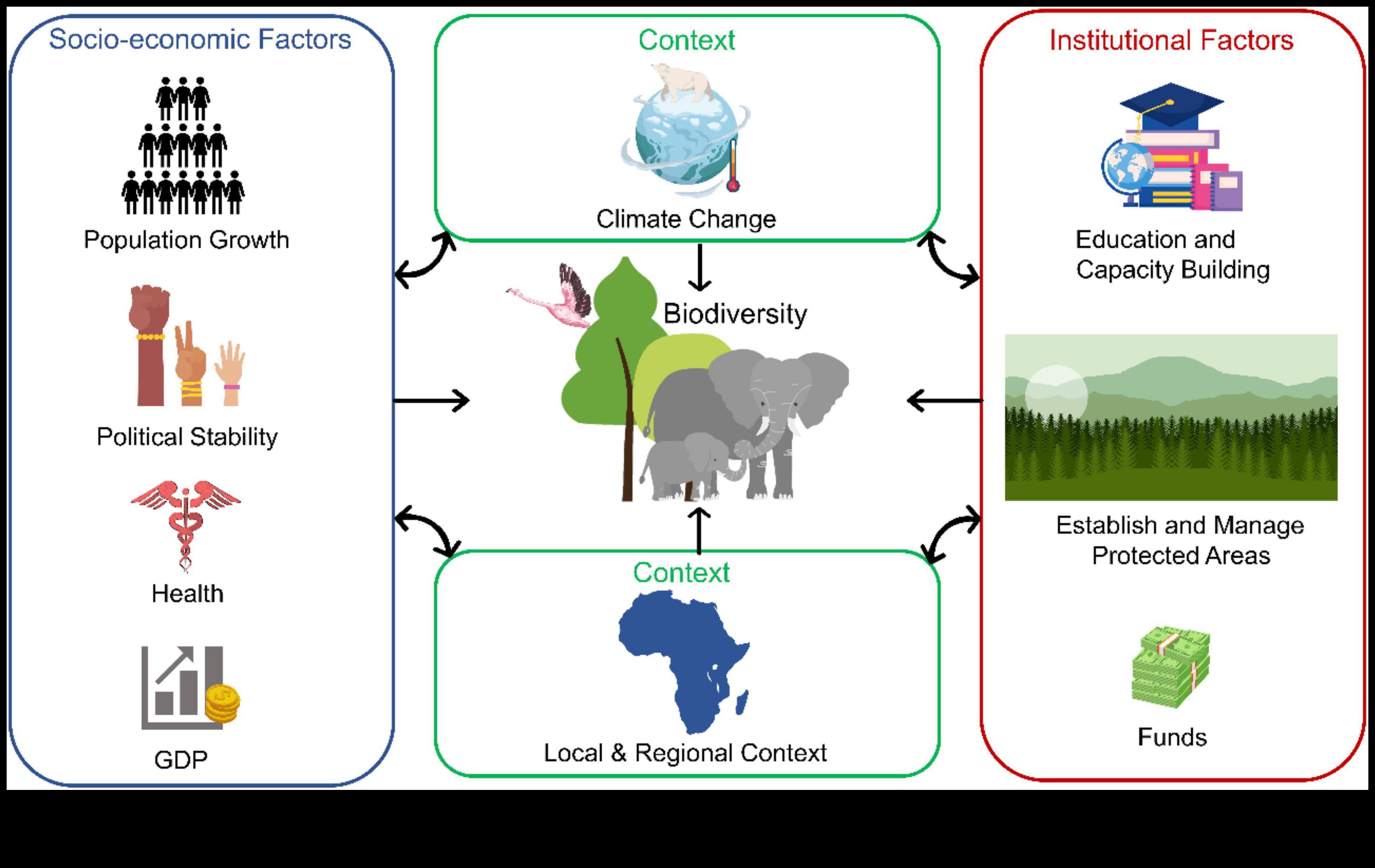 Klimata zonas, kurās atrodas bioloģiskās daudzveidības bagātība 4 Kā klimata zonas ietekmē ainavu bioloģisko daudzveidību?