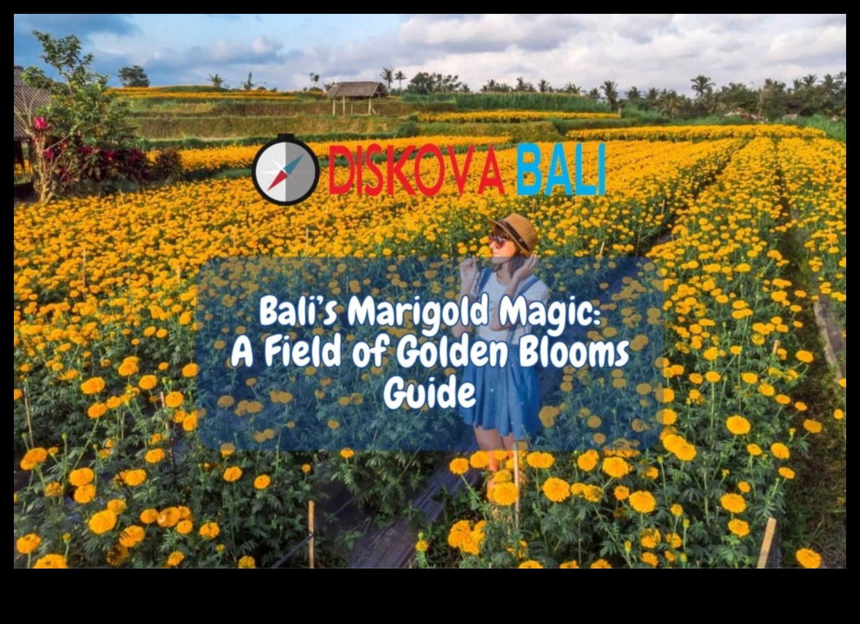 Zelta dārzs: zied mirdzoši