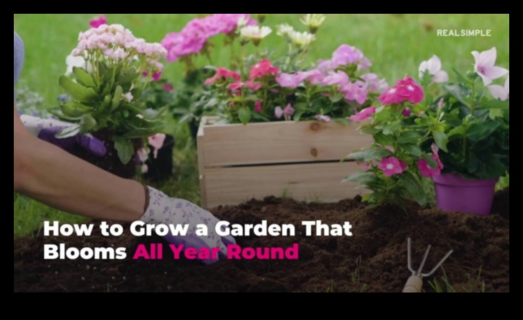 Izkopiet skaistumu: atklājiet efektīvas dārza kopšanas noslēpumus