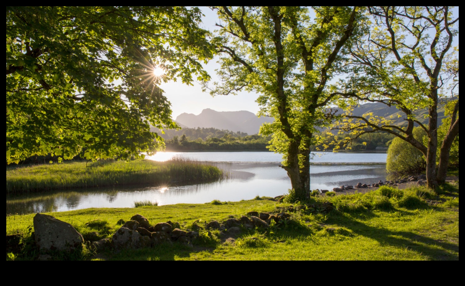 Botāniskās atpūtas vietas: no jauna atklāti dārzi un zaļās zonas