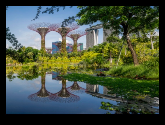 Botāniskās atpūtas vietas: no jauna atklāti dārzi un zaļās zonas