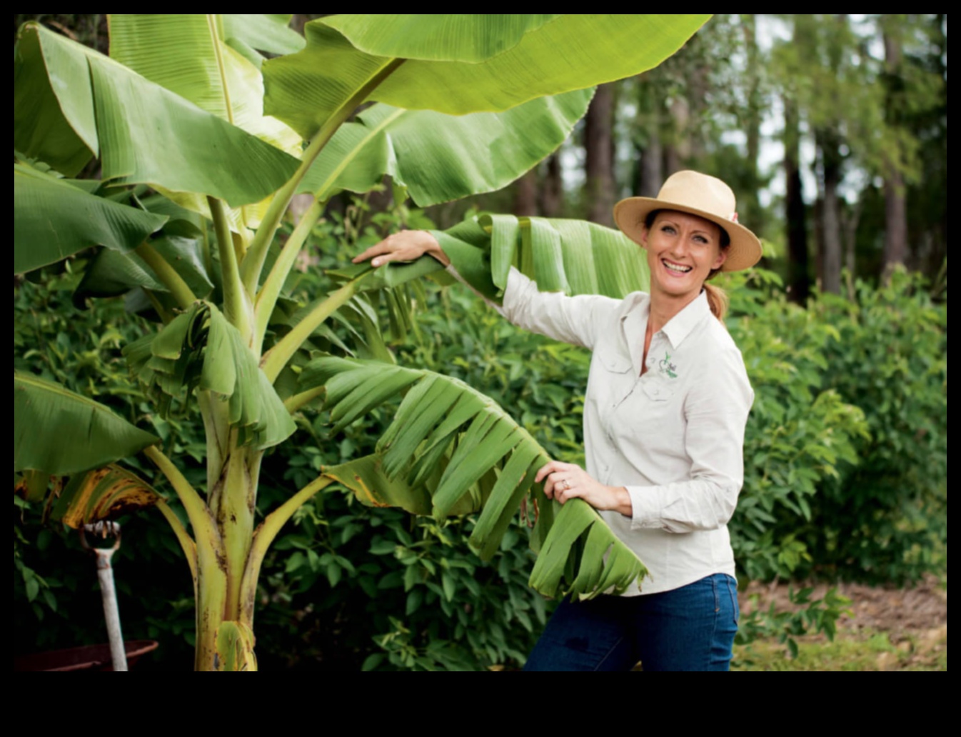 No augsnes līdz vakariņām Organisko dārznieku garšīgais ceļojums 2 No augsnes līdz vakariņām: bioloģiskās dārzkopju gastronomiskais prieks