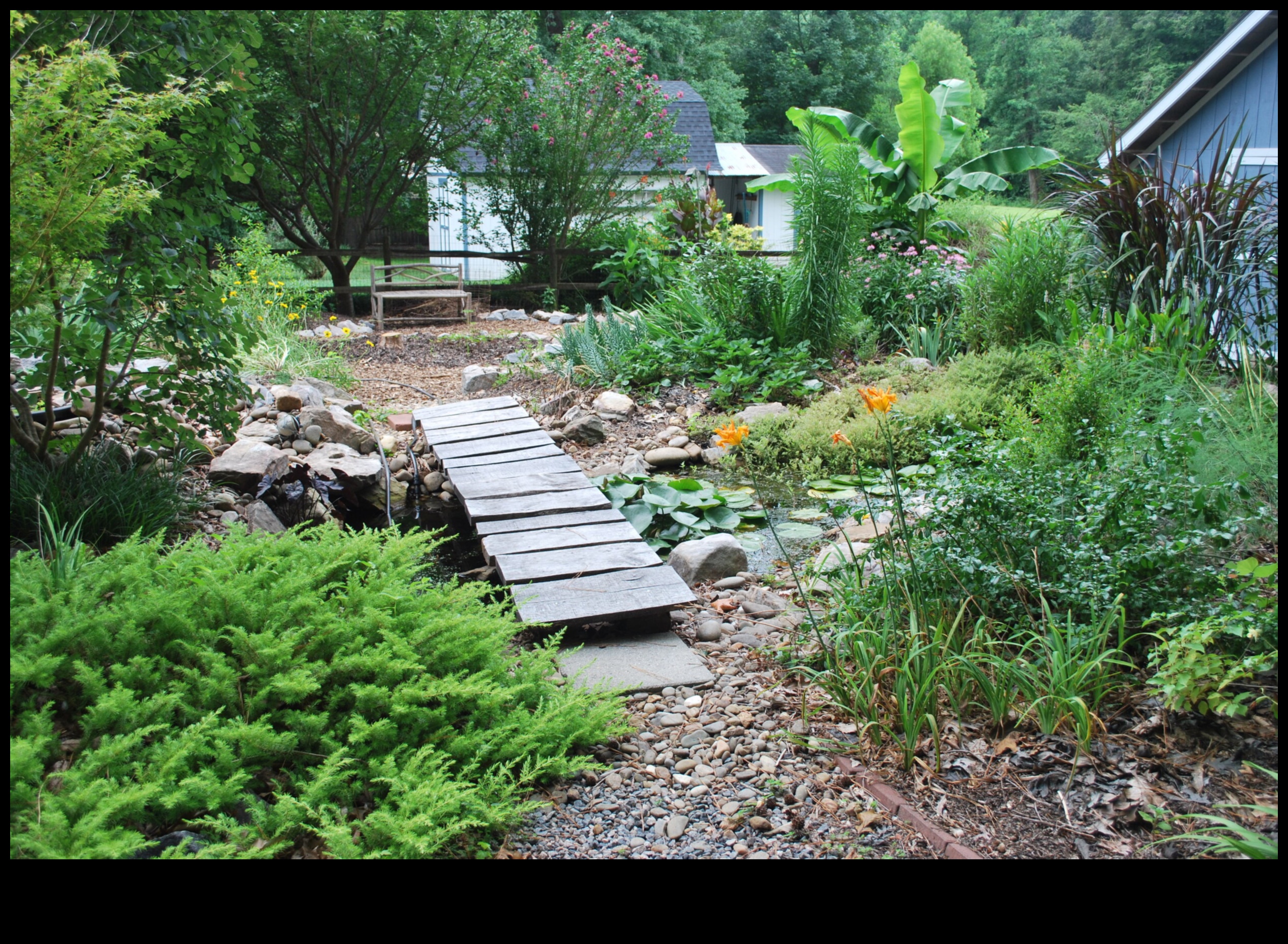 Dārza harmonija: kopšanas skaistuma un efektivitātes līdzsvarošana