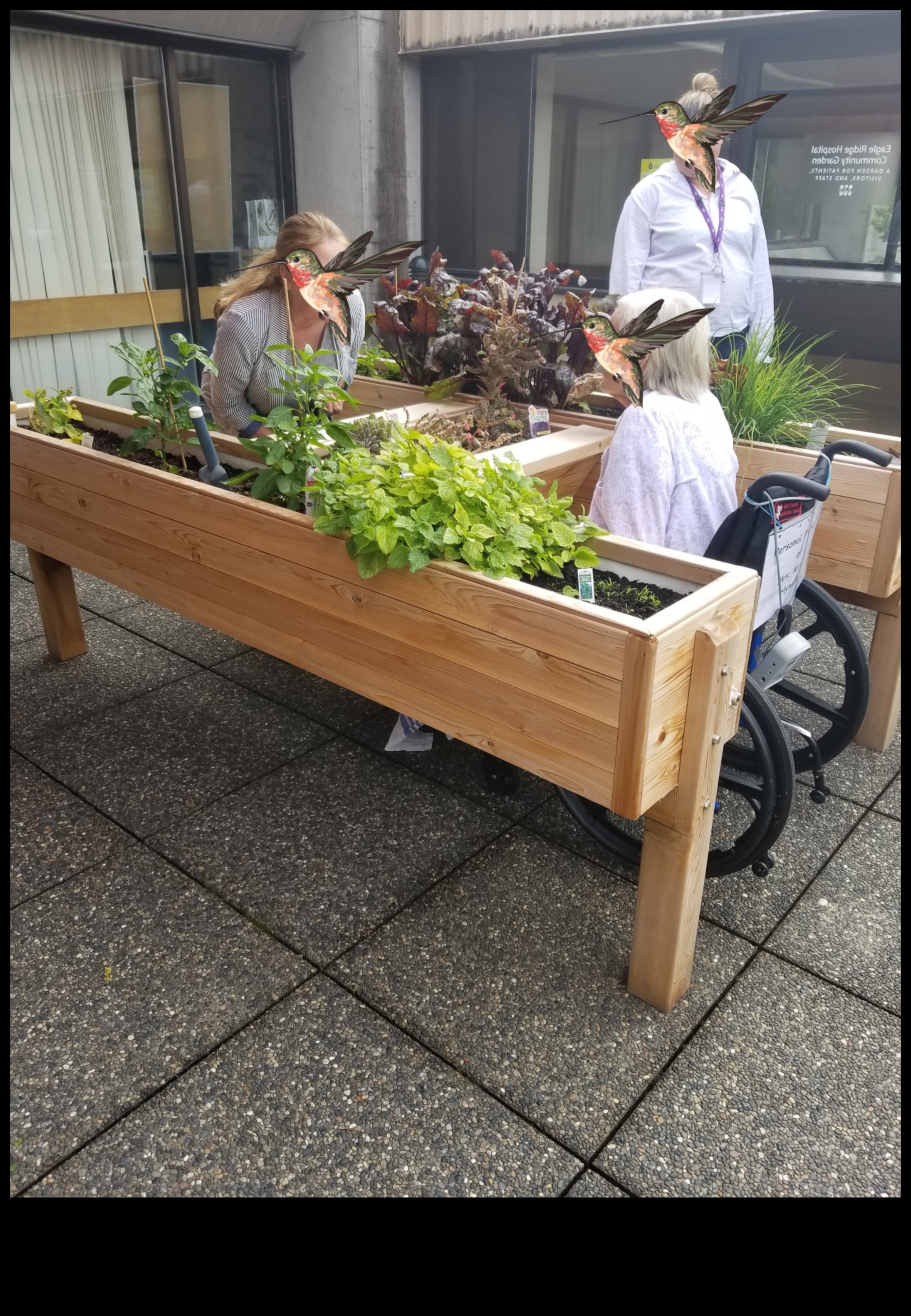 Dārza harmonija: kopšanas skaistuma un efektivitātes līdzsvarošana