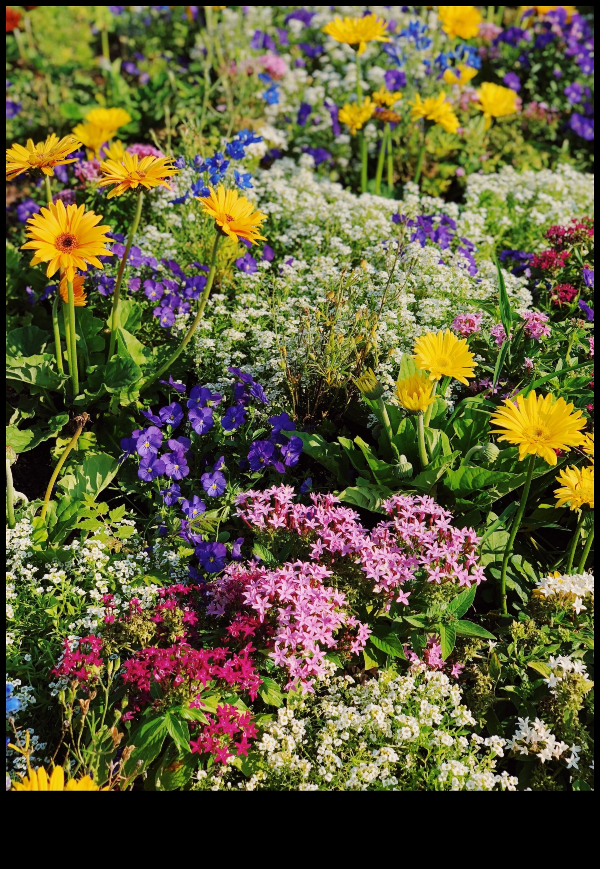 Dārza harmonija: kopšanas skaistuma un efektivitātes līdzsvarošana