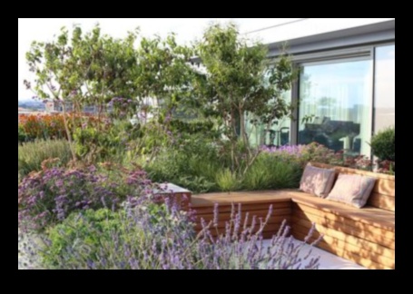 Āra elegance: stilīgi elementi jūsu atpūtai dārzā