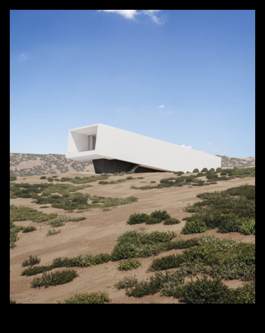 Tuksneša brīnumi: sauso ainavu miers