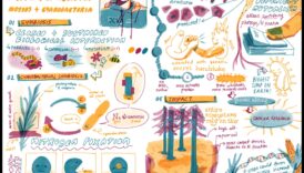 Abstraktās izpausmes: dabas interpretācijas mākslā