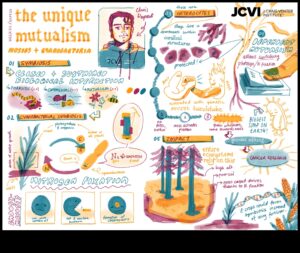Abstraktās izpausmes: dabas interpretācijas mākslā