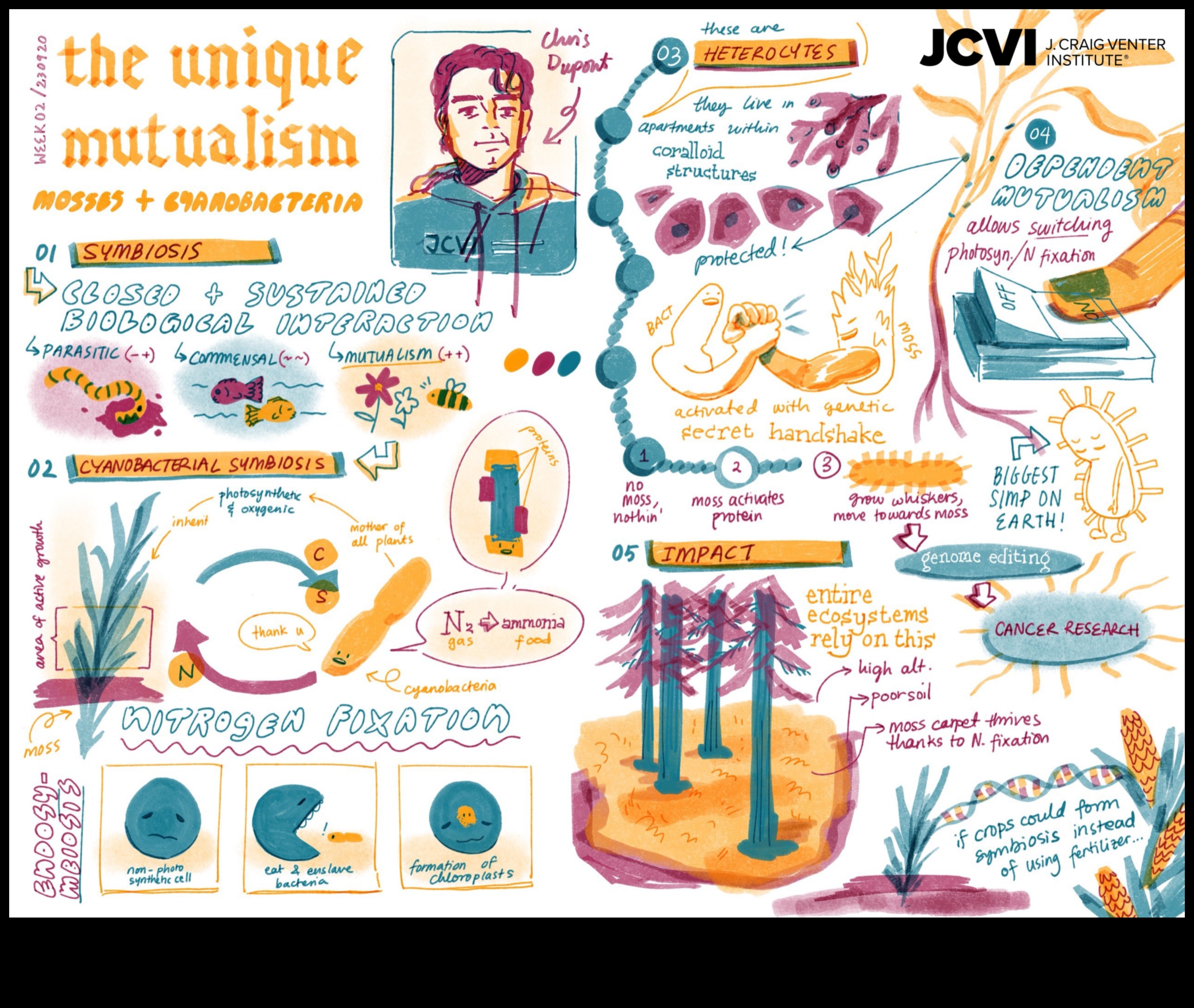 Abstraktās izpausmes: dabas interpretācijas mākslā