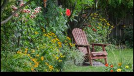 Budžetam draudzīgi ziedi: DIY iedvesmas avots sulīgam dārzam