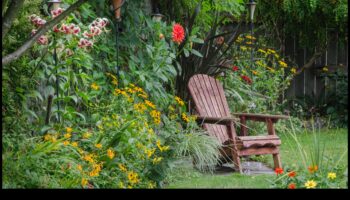 Budžetam draudzīgi ziedi: DIY iedvesmas avots sulīgam dārzam