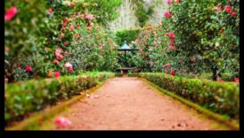 Dārza harmonija: kopšanas skaistuma un efektivitātes līdzsvarošana