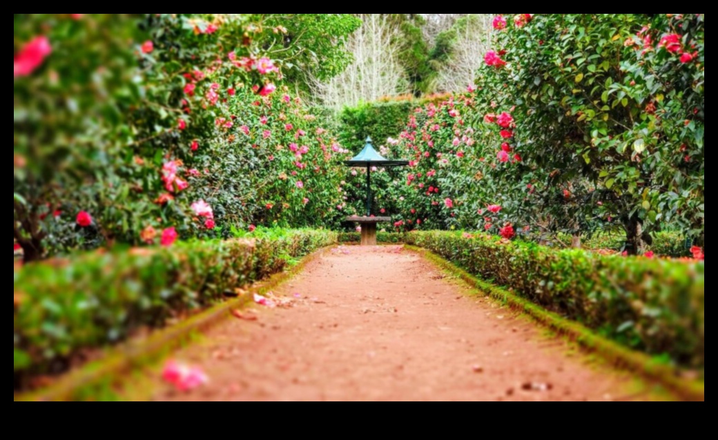 Dārza harmonija: kopšanas skaistuma un efektivitātes līdzsvarošana