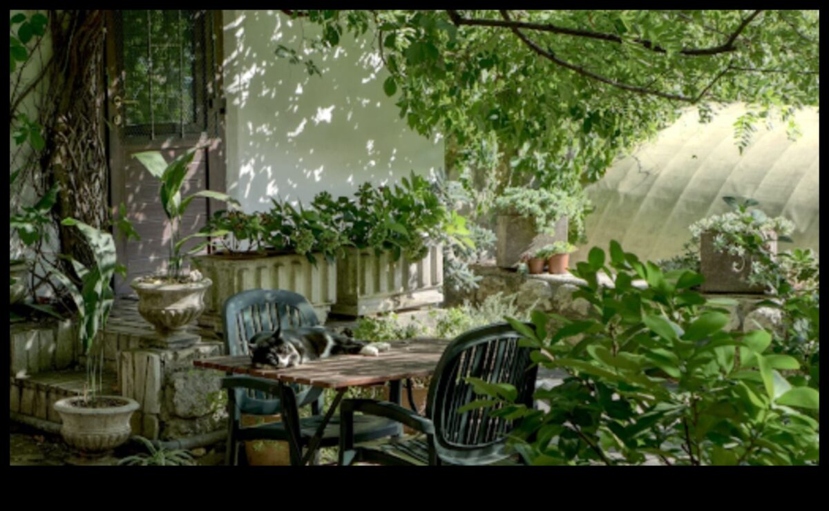 Atklāta dārza godība: uzlabojiet savu telpu ar Top Gear