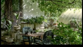 Atklāta dārza godība: uzlabojiet savu telpu ar Top Gear