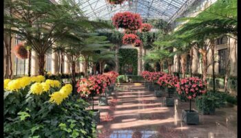 Iekštelpu brīnumzeme: atklāti siltumnīcas prieki