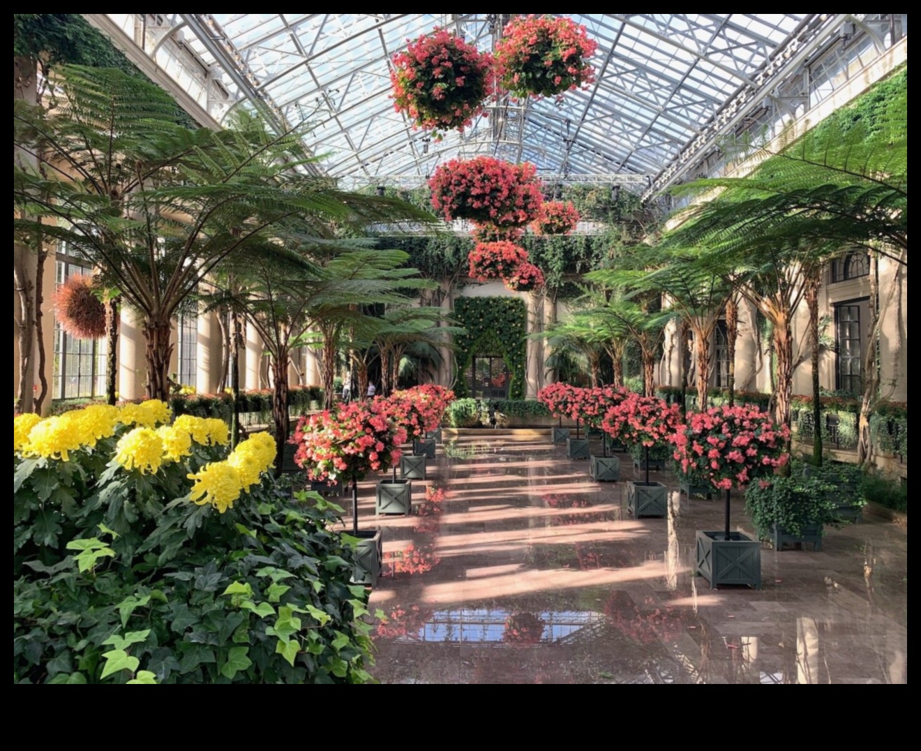 Iekštelpu brīnumzeme: atklāti siltumnīcas prieki