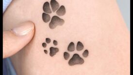 Ķepu nospiedumi visā Dzīvnieku tetovējumi atroda stāstus attiecībā uz mūsu attiecībām izmantojot dzīvniekiem 4 Ķepu nospiedumi laikā: atklāti stāsti par dzīvnieku tetovējumu