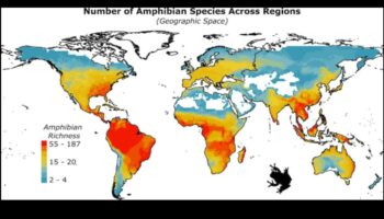 Kā klimata zonas ietekmē ainavu bioloģisko daudzveidību?