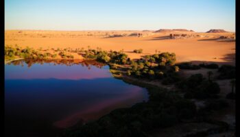 Tuksneša brīnumi: sauso ainavu miers