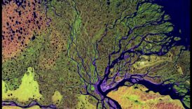 Kāpēc upju deltas ir svarīgas ūdens ainavu sastāvdaļas?