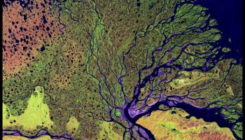 Kāpēc upju deltas ir svarīgas ūdens ainavu sastāvdaļas?