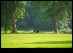 Botāniskās atpūtas vietas: no jauna atklāti dārzi un zaļās zonas