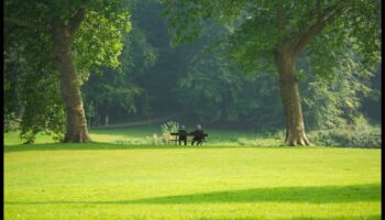 Botāniskās atpūtas vietas: no jauna atklāti dārzi un zaļās zonas