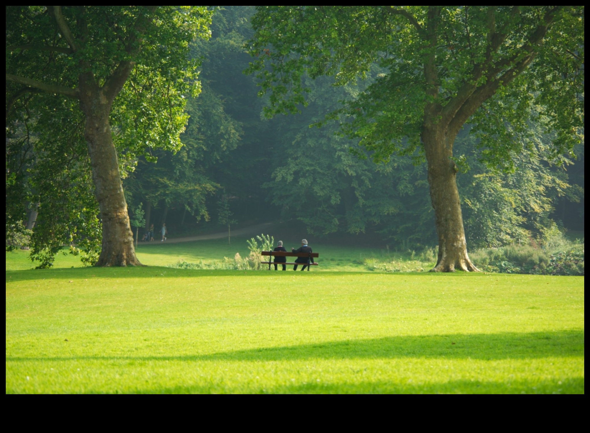 Botāniskās atpūtas vietas: no jauna atklāti dārzi un zaļās zonas